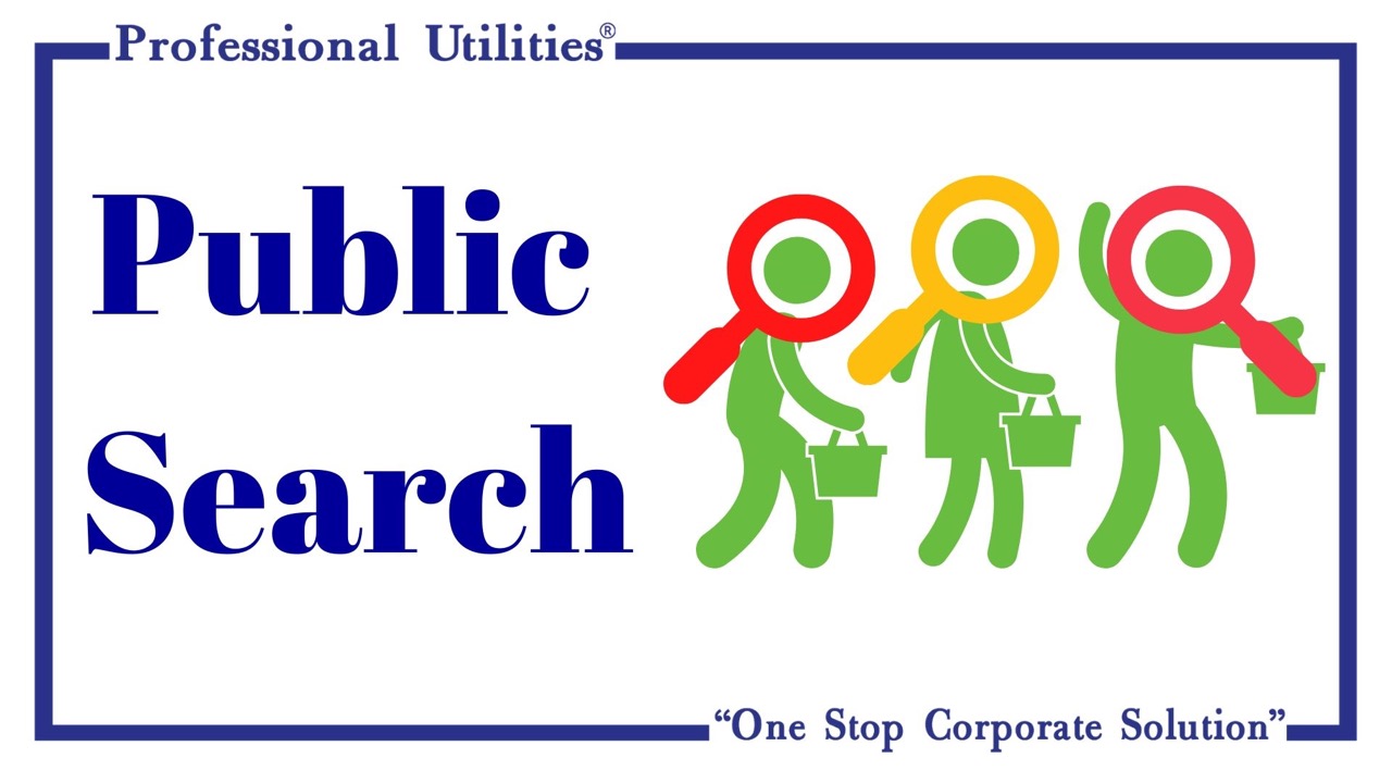 Public Search | Professional Utilities